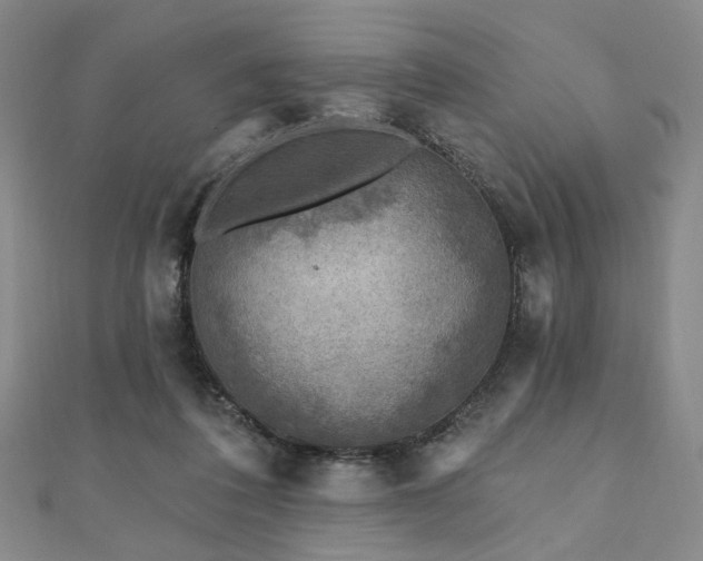 X0000111000308200906191556