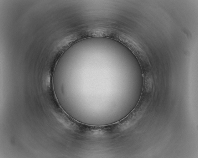 X0000111000310200906191556