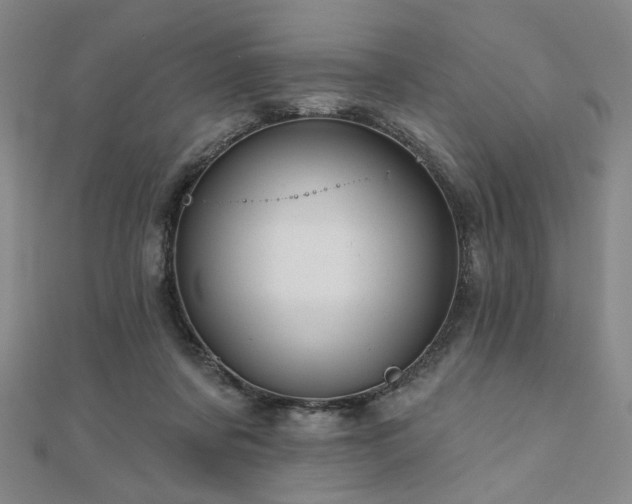 X0000111000311200906191556