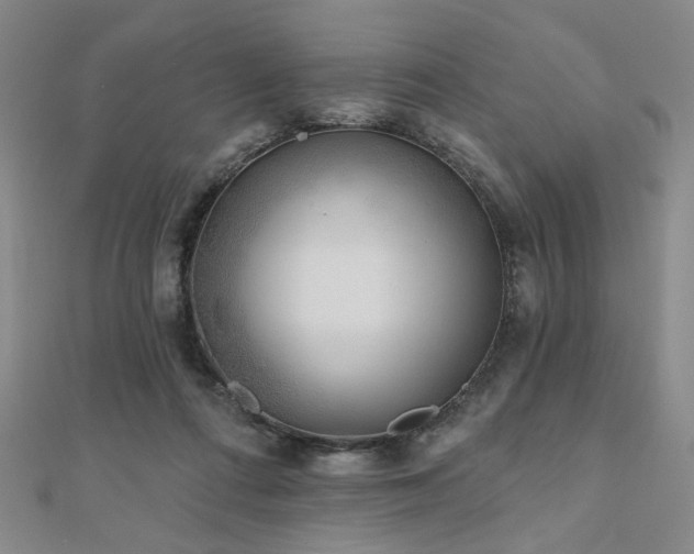 X0000111000312200906191556