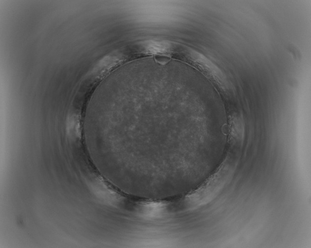 X0000111000313200906191556