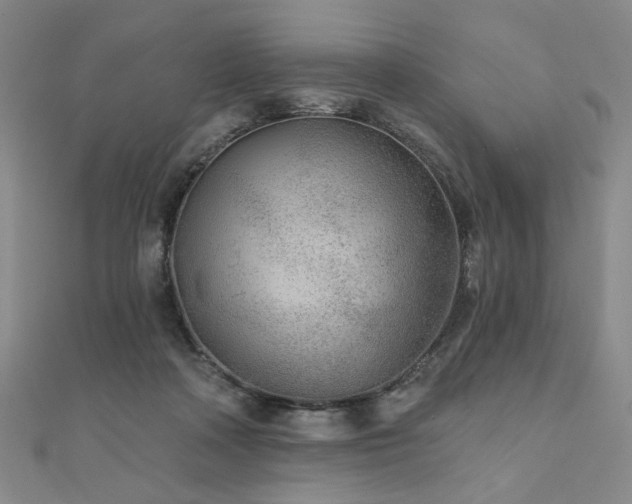 X0000111000314200906191556