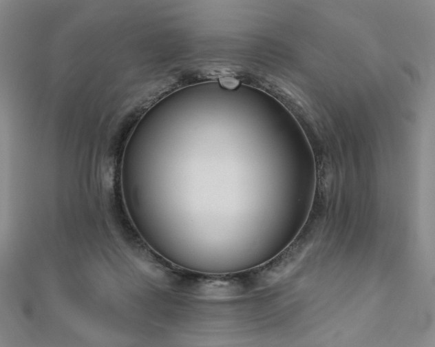 X0000111000315200906191556