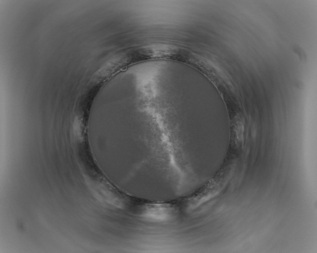 X0000111000316200906191556