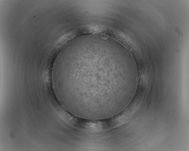 X0000111000317200906191556