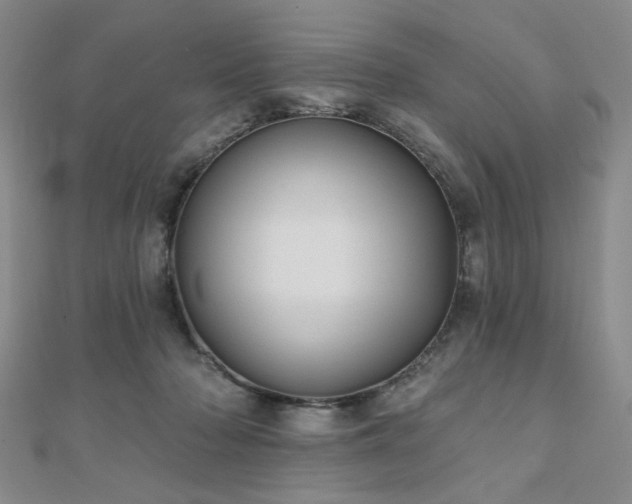 X0000111000318200906191556