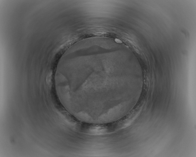 X0000111000319200906191556