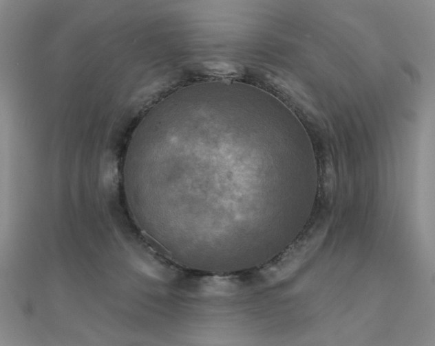 X0000111000320200906191556