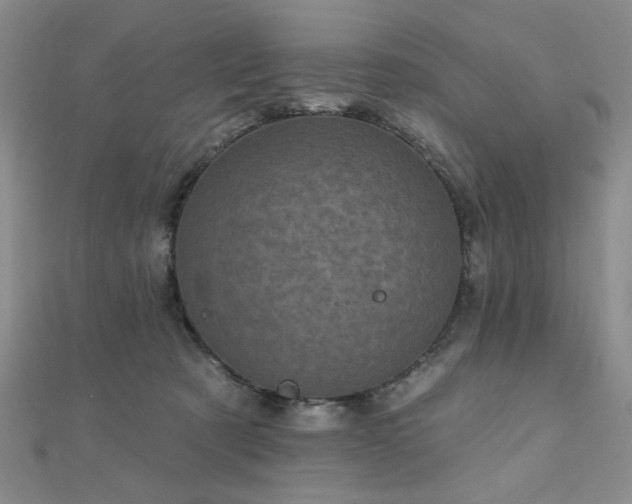 X0000111000321200906191556