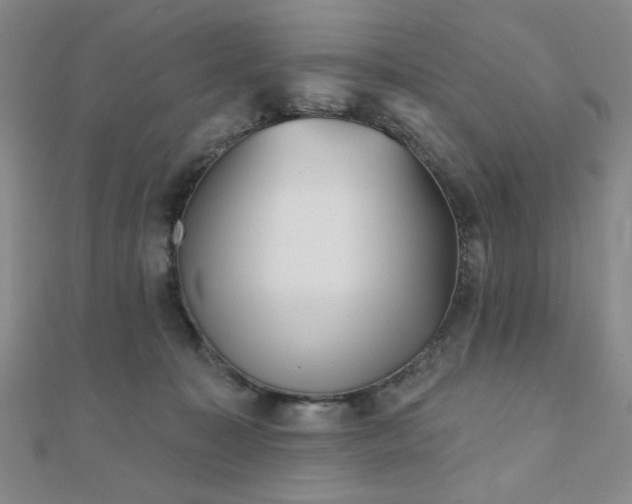 X0000111000323200906191556