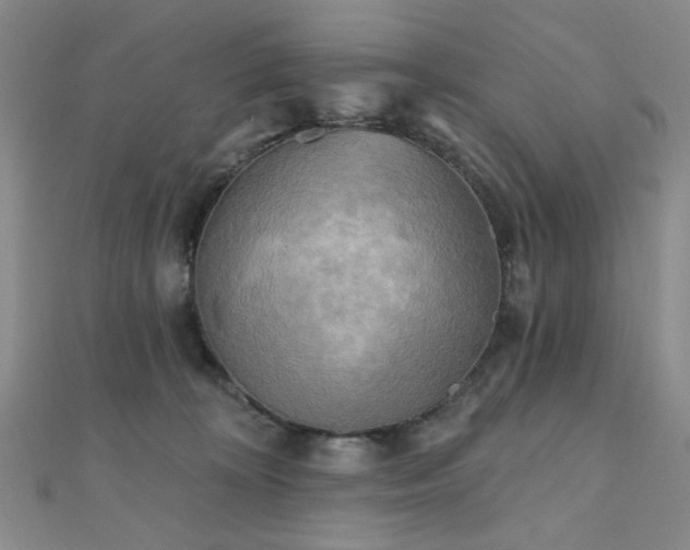 X0000111000324200906191556