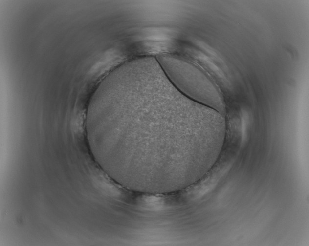 X0000111000325200906191556