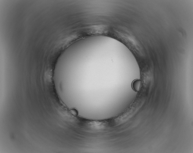 X0000111000326200906191556