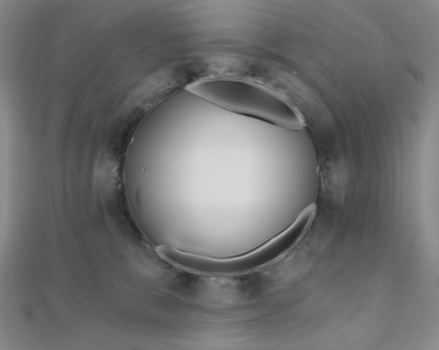 X0000111000327200906191556