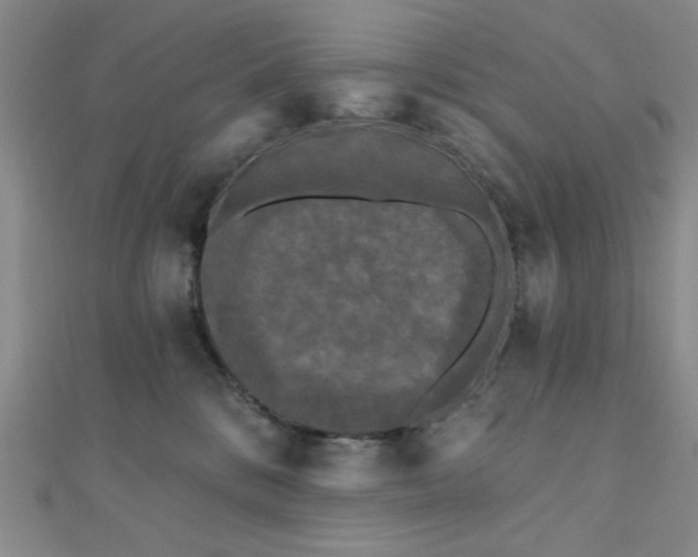 X0000111000328200906191556