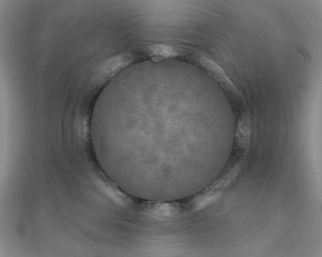 X0000111000330200906191556