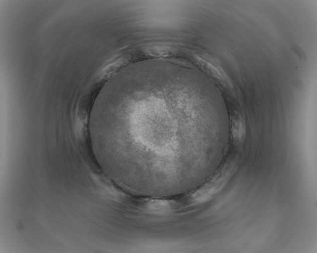 X0000111000332200906191556