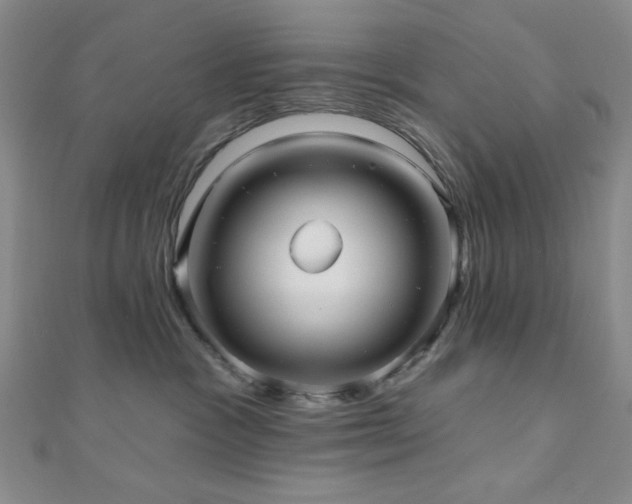 X0000111000333200906191556