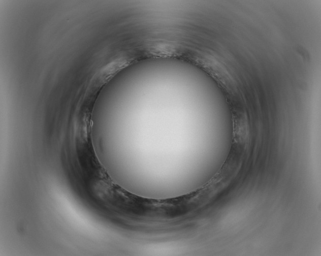 X0000111000334200906191556