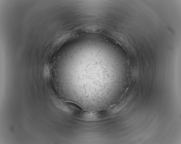 X0000111000335200906191556