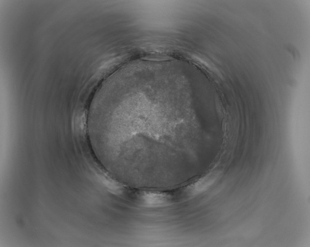 X0000111000336200906191556