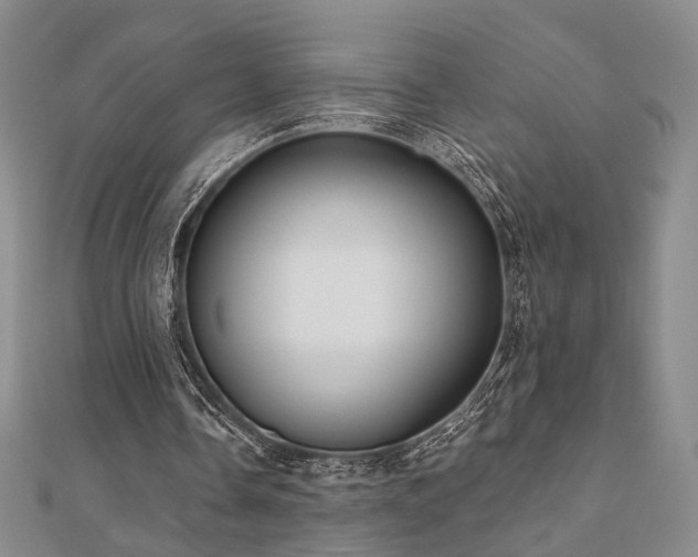 X0000111000338200906191555