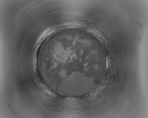 X0000111000339200906191555