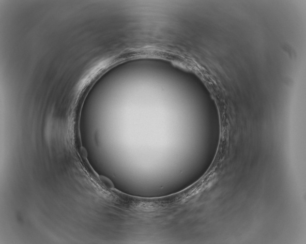 X0000111000341200906191555