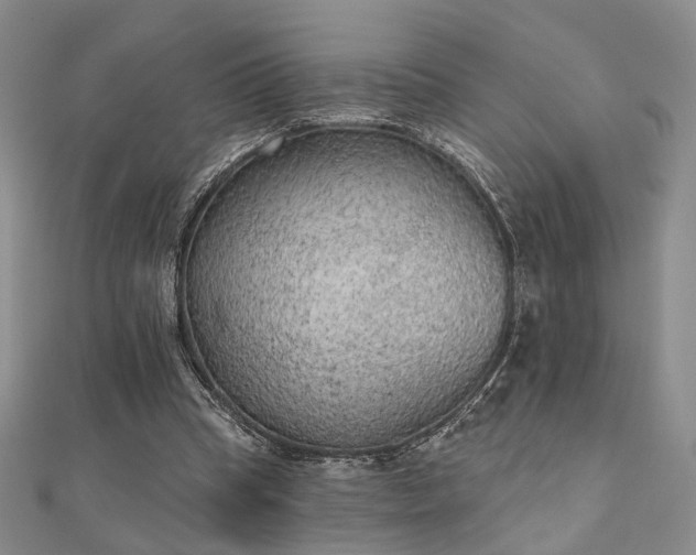 X0000111000345200906191555