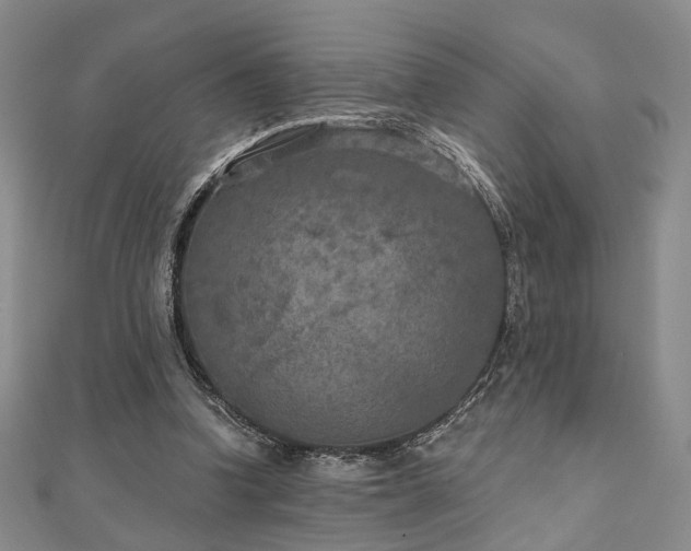 X0000111000346200906191555