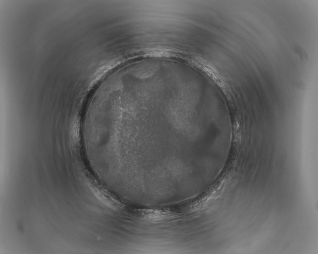 X0000111000347200906191555