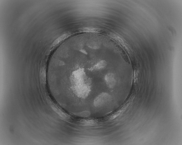 X0000111000349200906191555