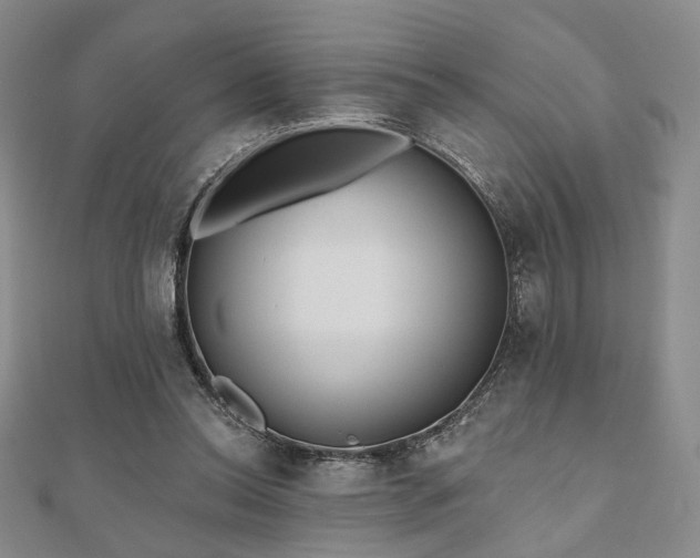 X0000111000350200906191555