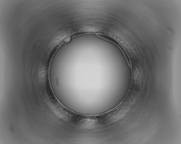 X0000111000352200906191555