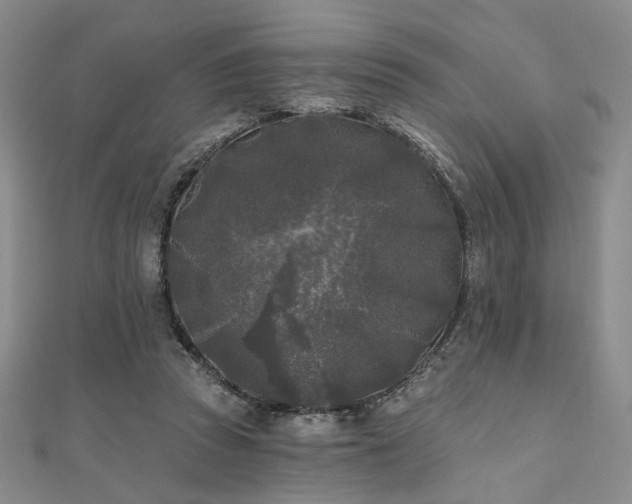 X0000111000353200906191555