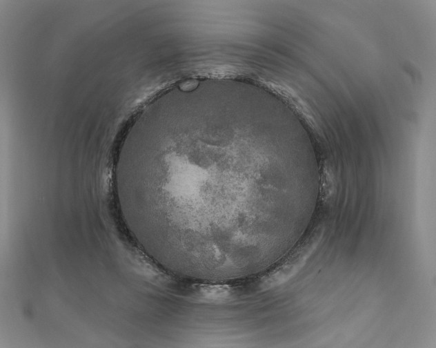 X0000111000355200906191555