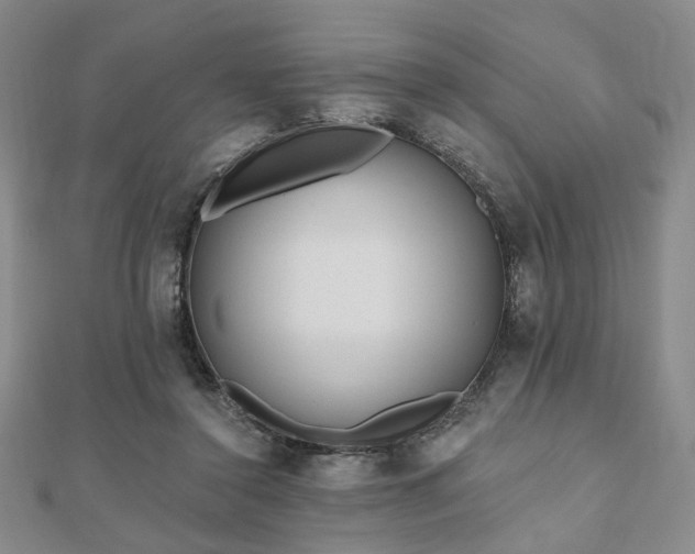 X0000111000356200906191555