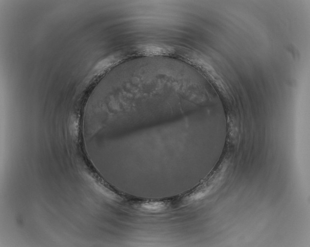 X0000111000357200906191555