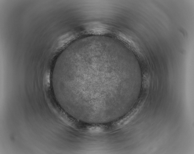 X0000111000358200906191555