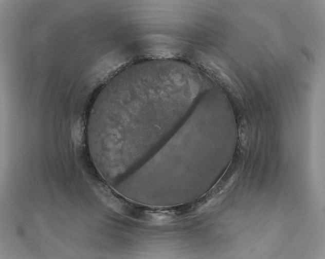 X0000111000359200906191555