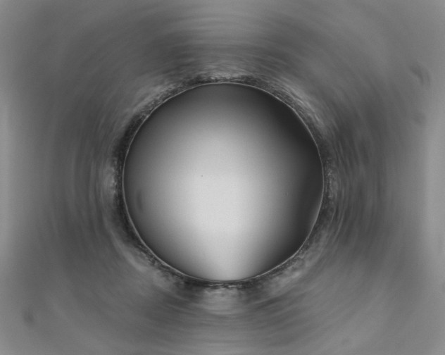 X0000111000362200906191555