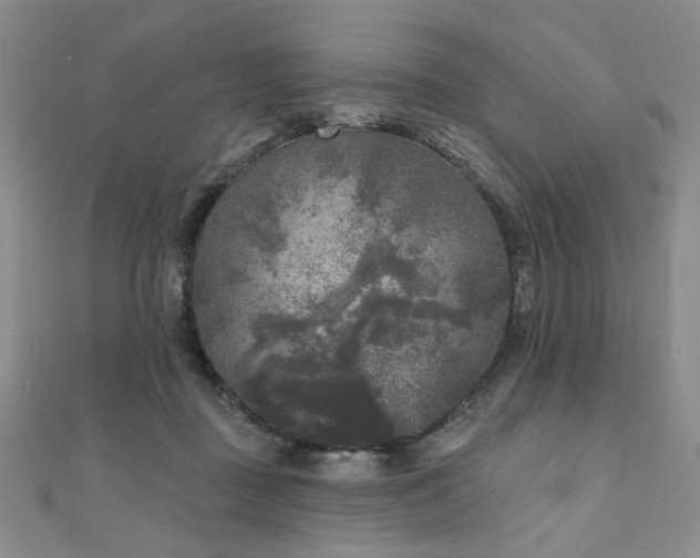 X0000111000363200906191555