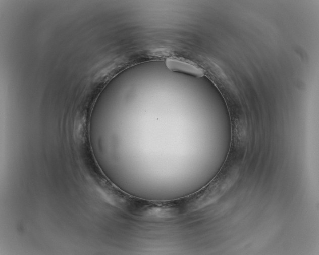 X0000111000364200906191555