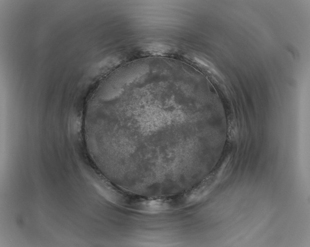 X0000111000365200906191555