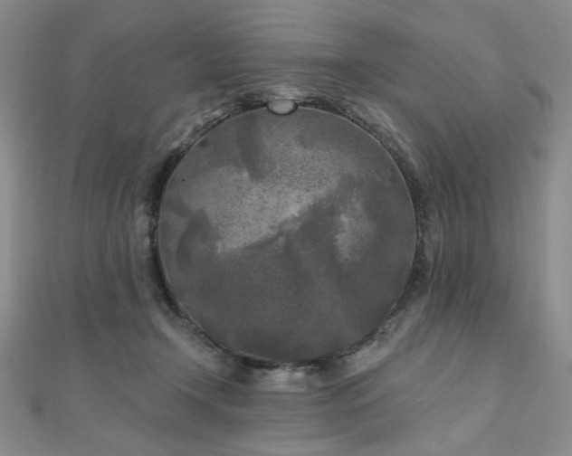 X0000111000366200906191555