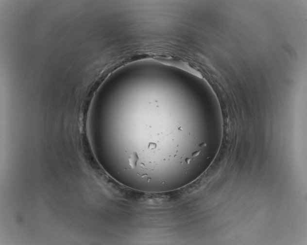 X0000111000368200906191555