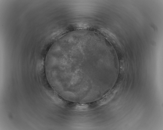 X0000111000369200906191555