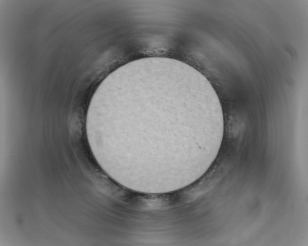 X0000111000370200906191555