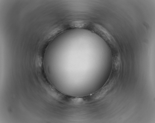 X0000111000374200906191555