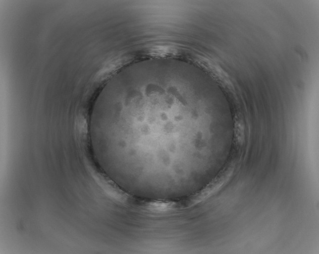 X0000111000375200906191555